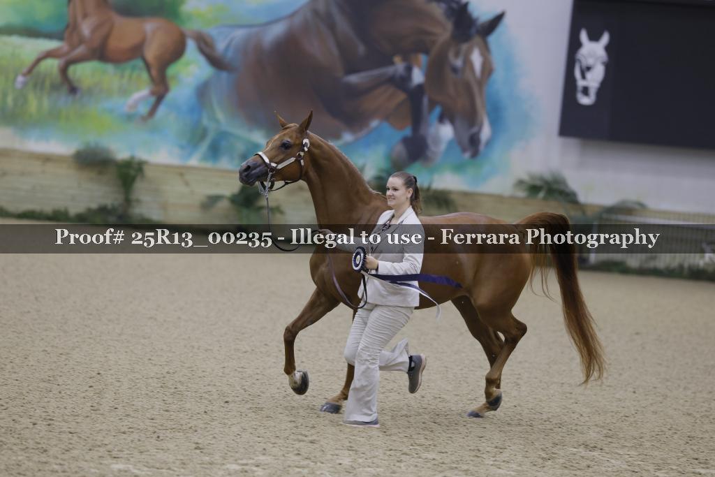 Proof 25R13_00235