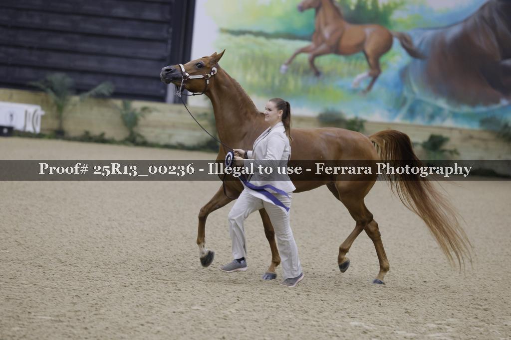 Proof 25R13_00236