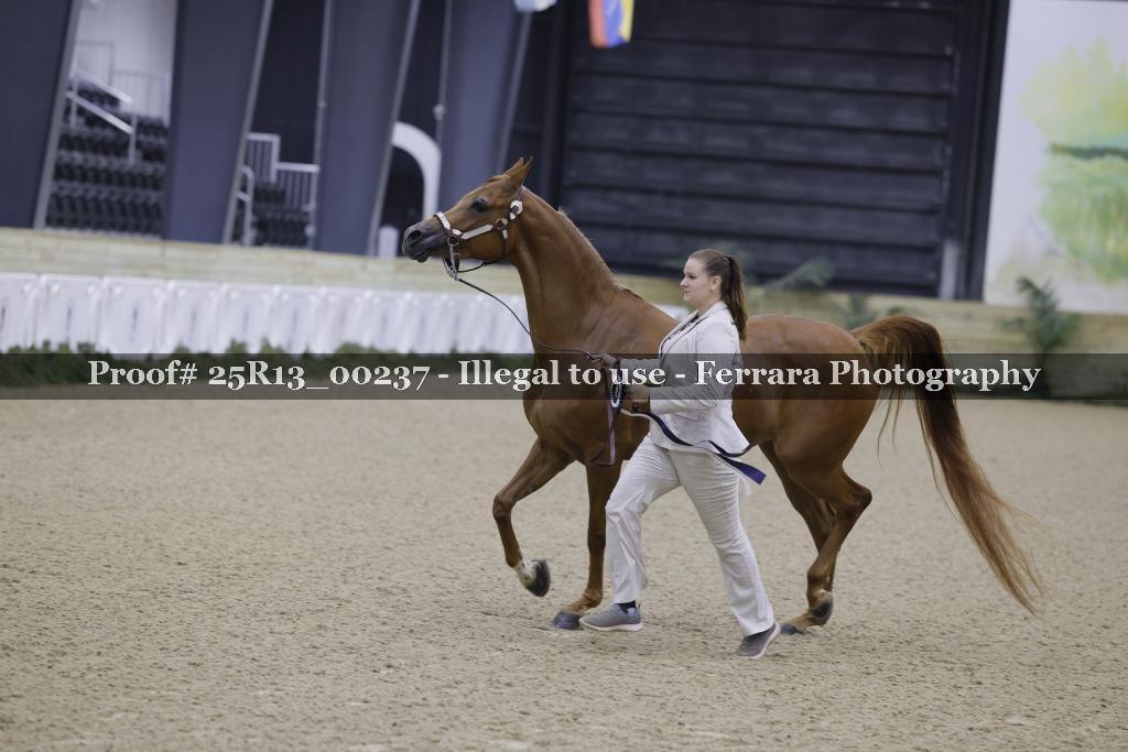 Proof 25R13_00237