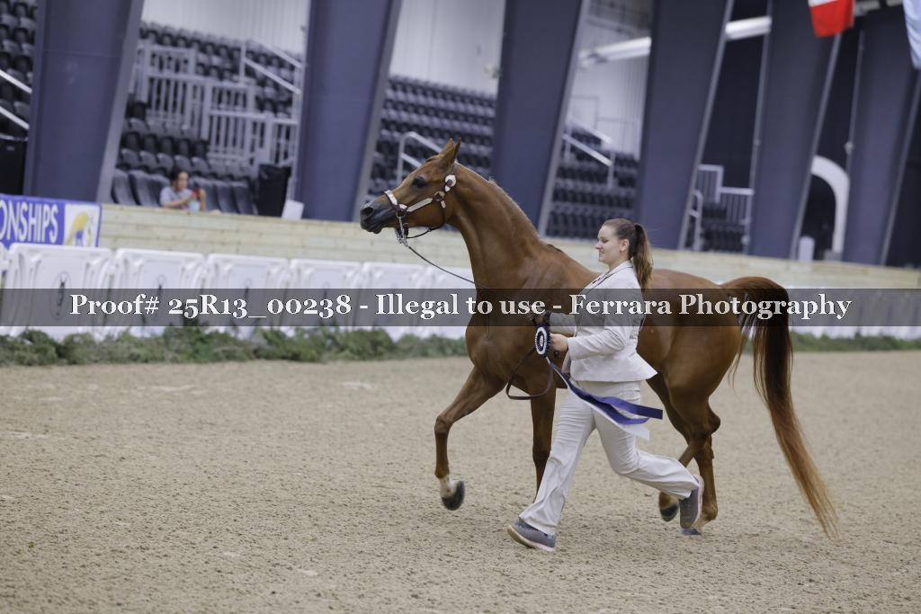 Proof 25R13_00238