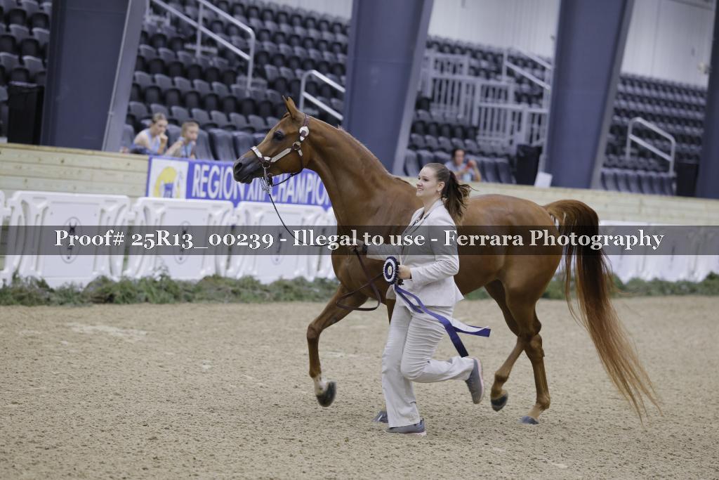 Proof 25R13_00239
