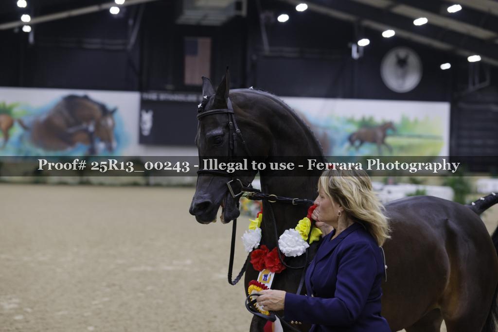 Proof 25R13_00243