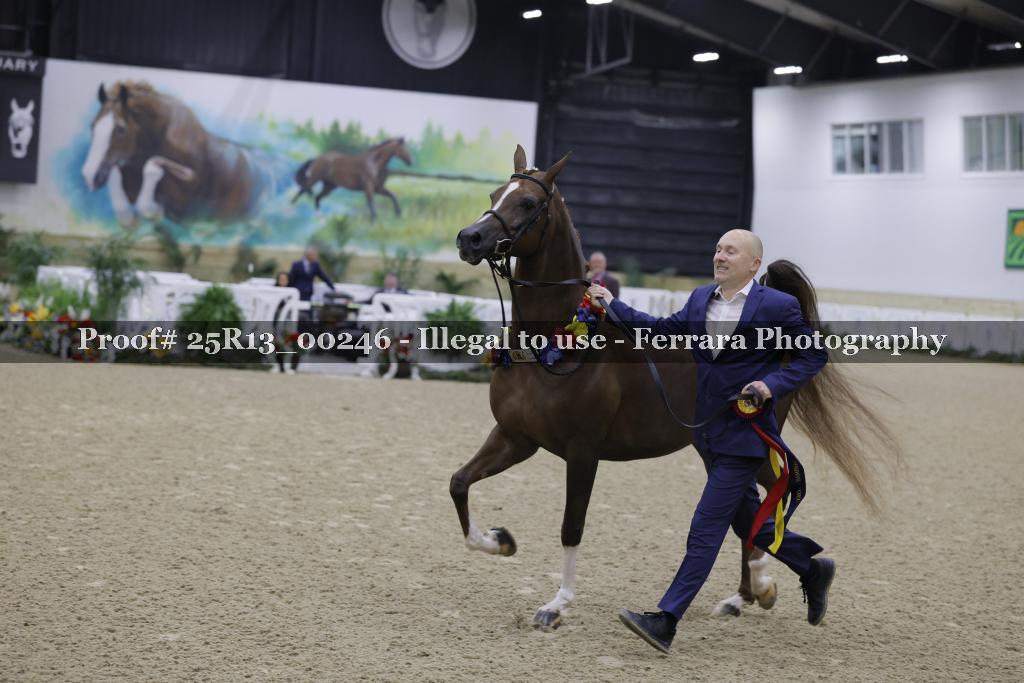 Proof 25R13_00246