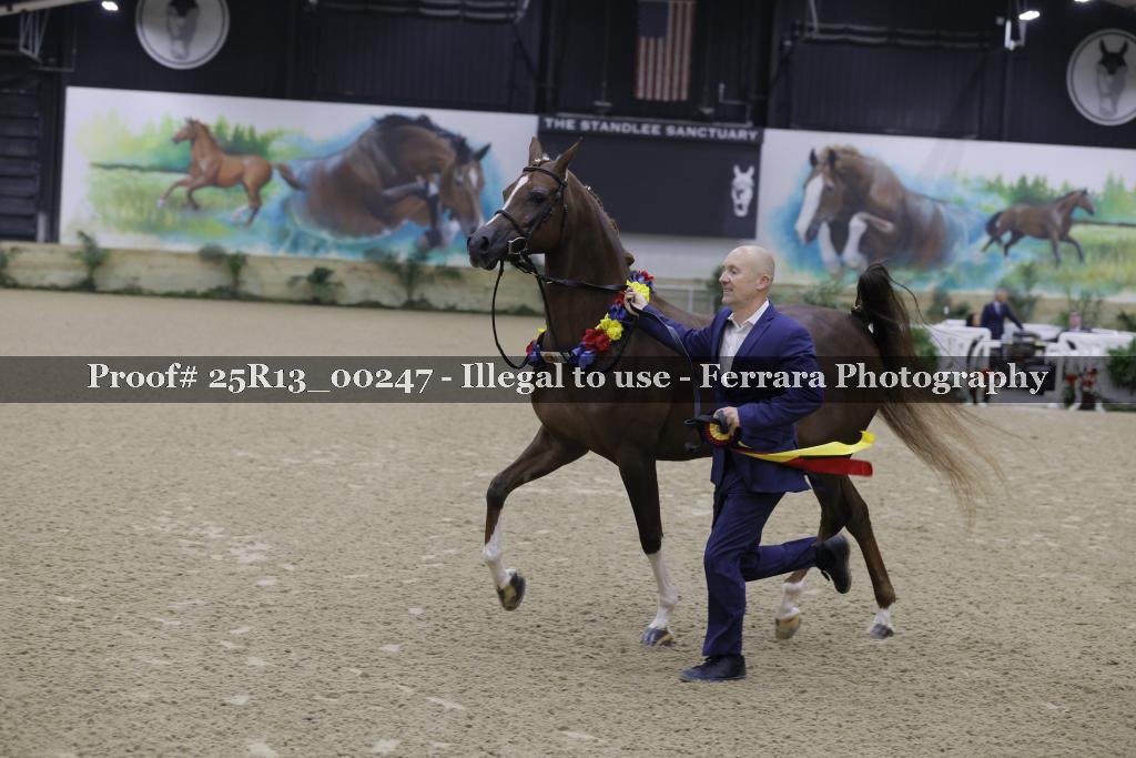 Proof 25R13_00247