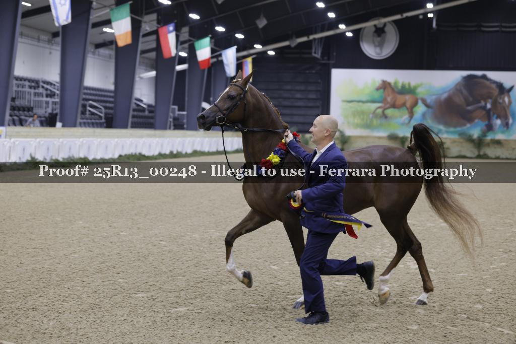 Proof 25R13_00248