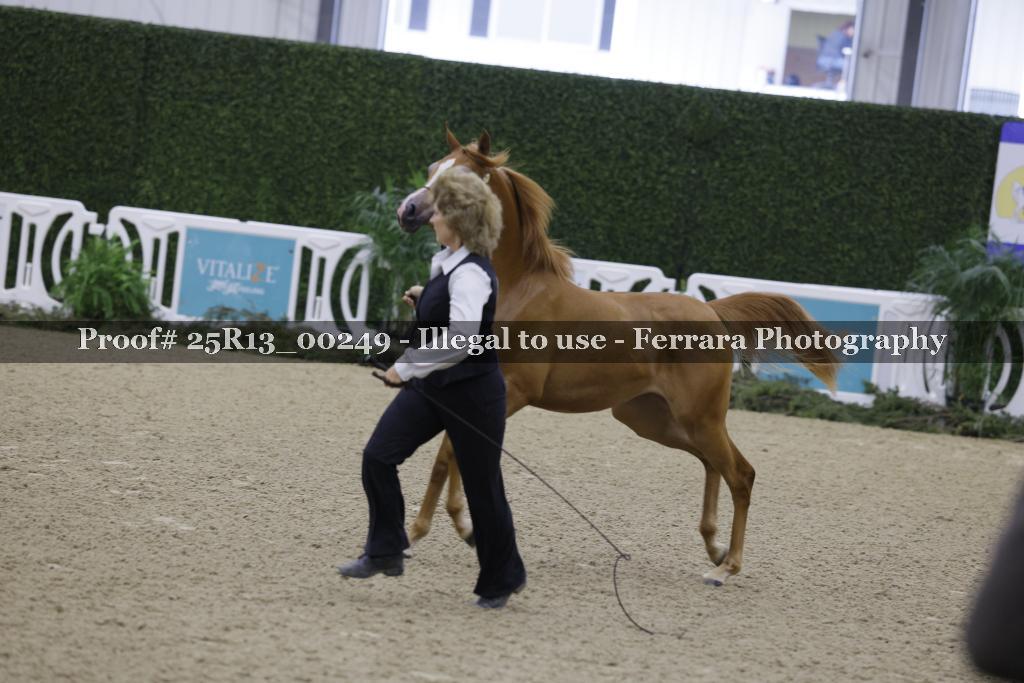 Proof 25R13_00249