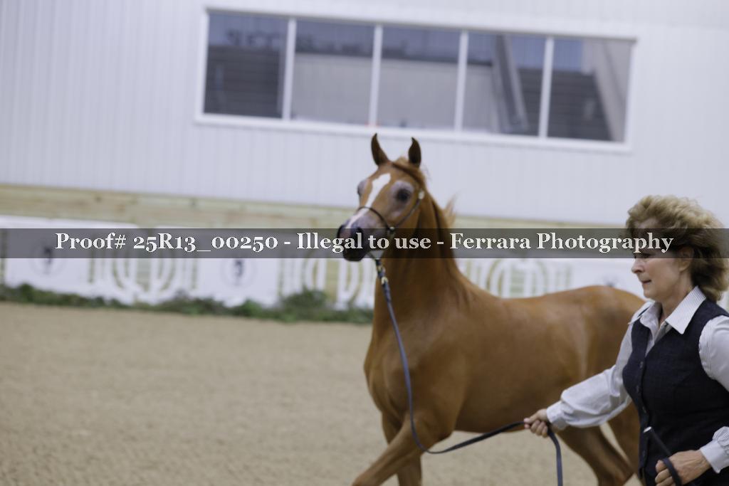 Proof 25R13_00250