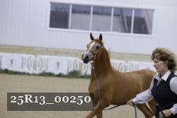 25R13_00250 proof
