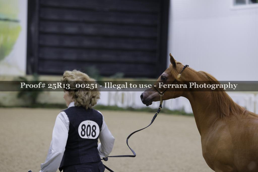 Proof 25R13_00251