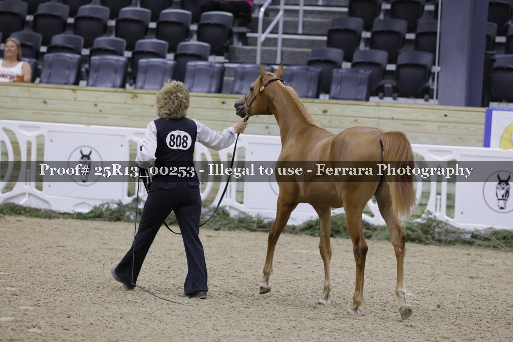 Proof 25R13_00253
