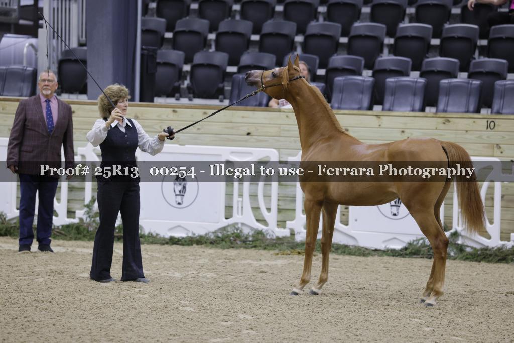 Proof 25R13_00254