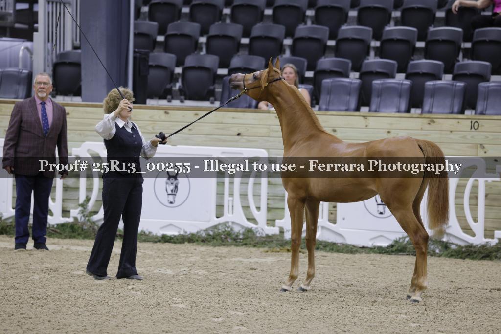 Proof 25R13_00255