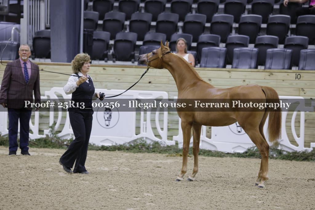 Proof 25R13_00256