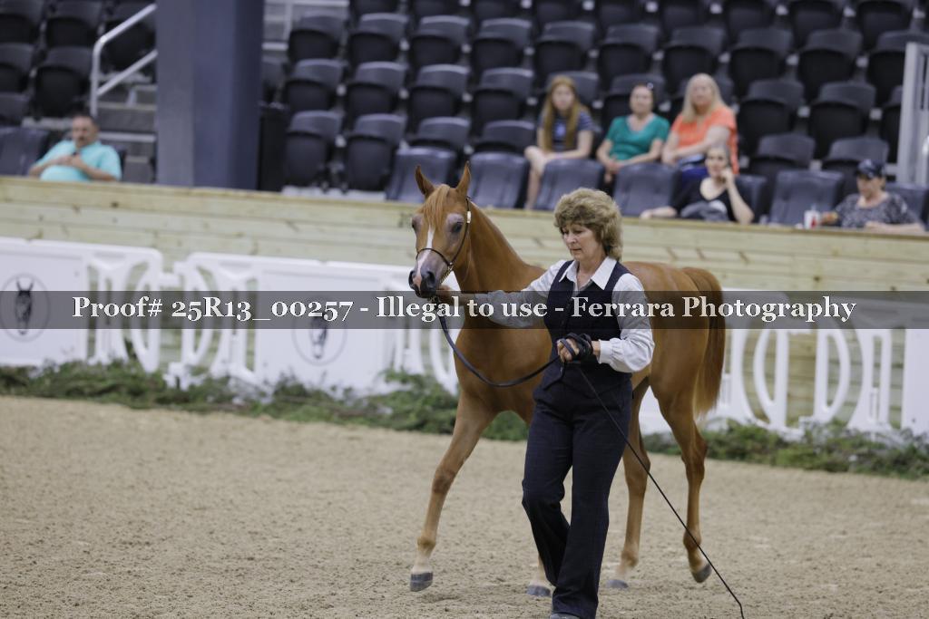 Proof 25R13_00257
