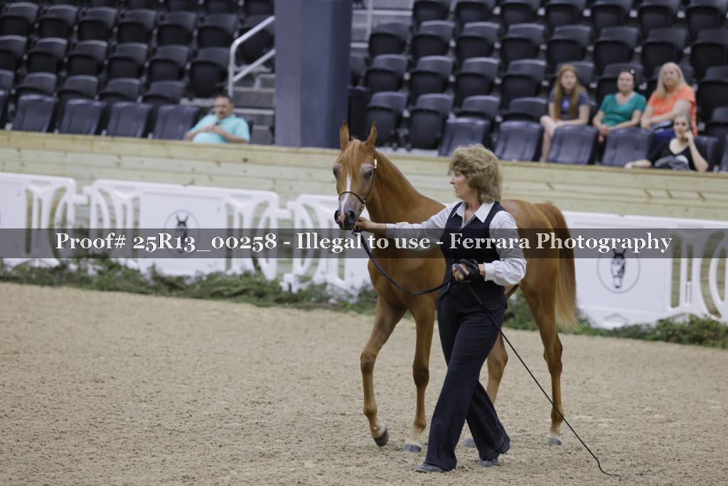 Proof 25R13_00258