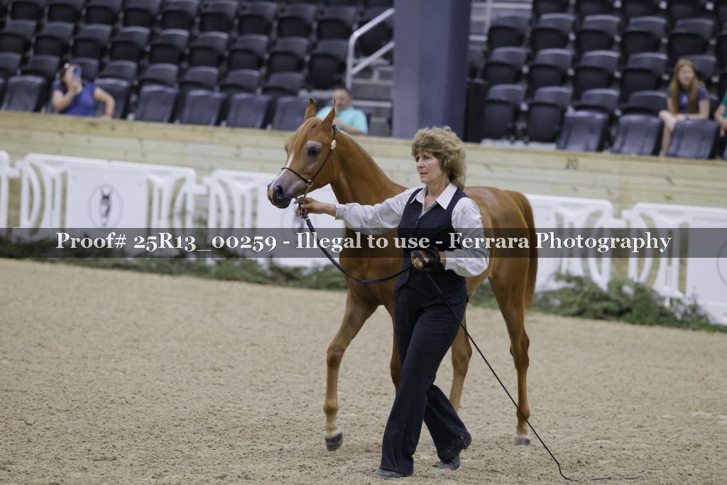 Proof 25R13_00259
