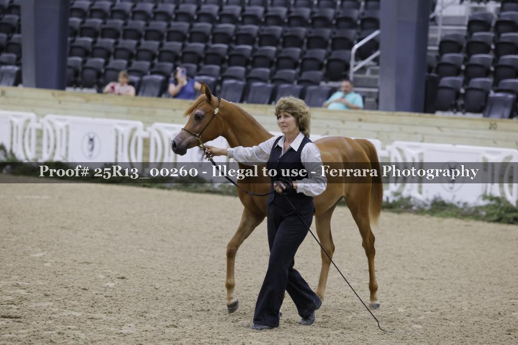 Proof 25R13_00260