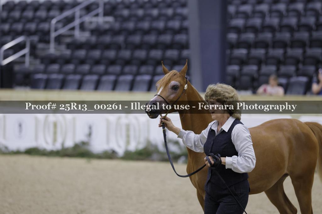 Proof 25R13_00261