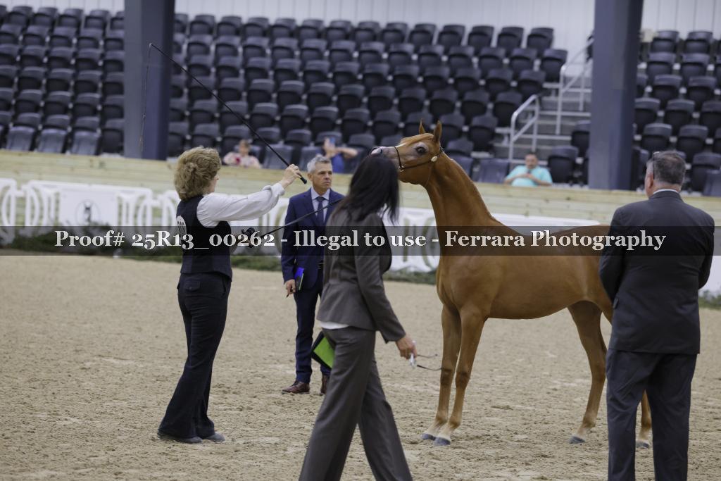 Proof 25R13_00262