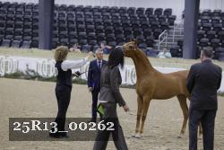 25R13_00262 proof