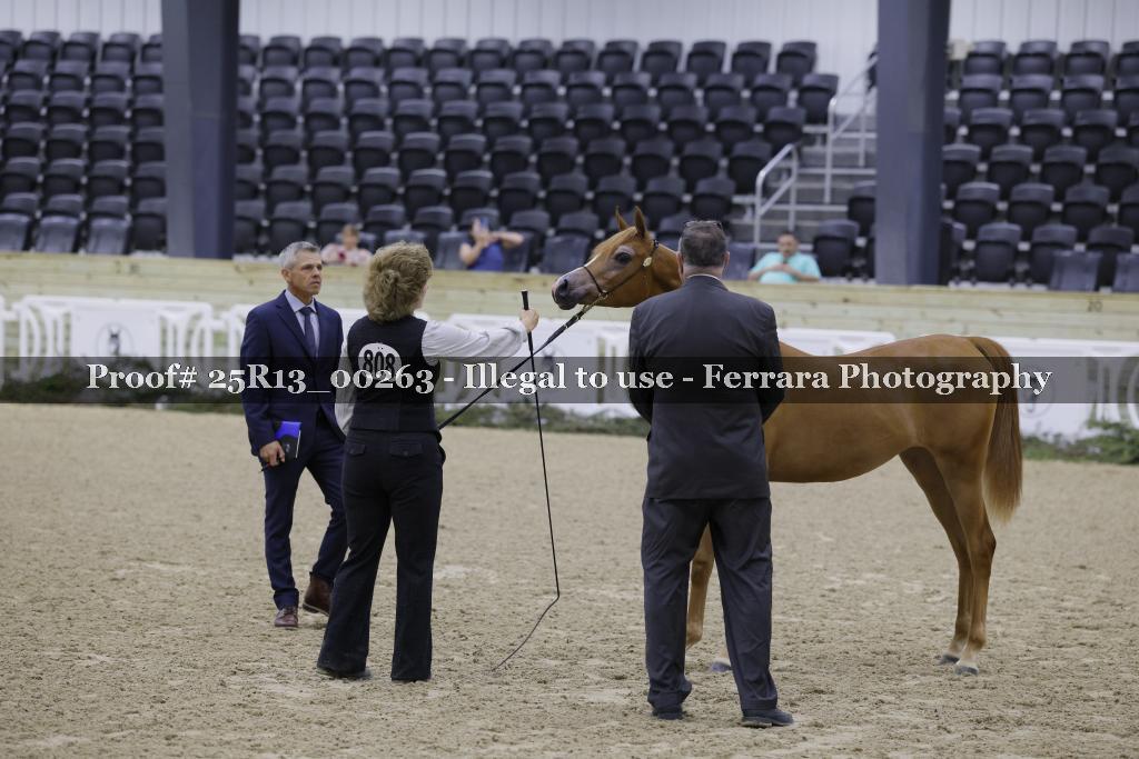 Proof 25R13_00263