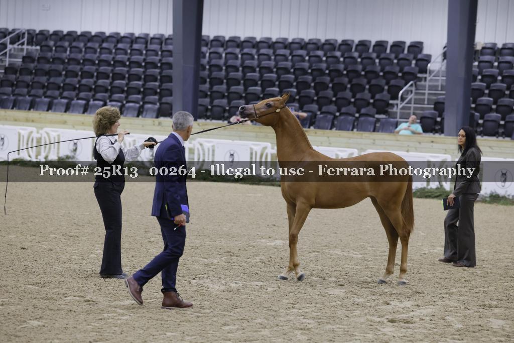 Proof 25R13_00264