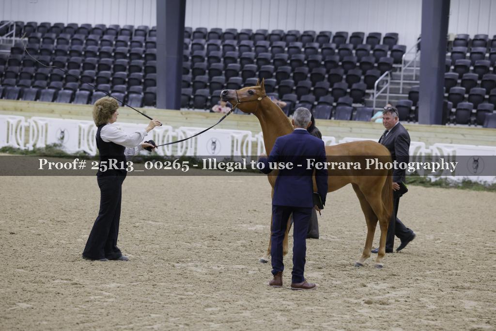 Proof 25R13_00265