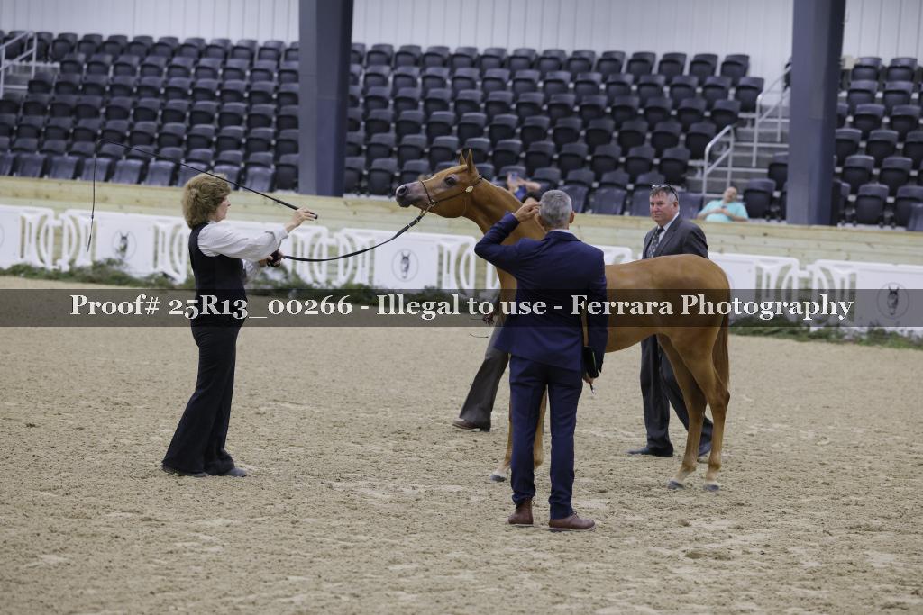 Proof 25R13_00266
