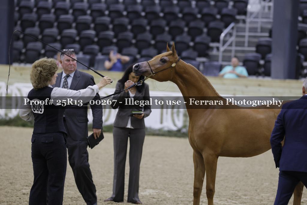 Proof 25R13_00267