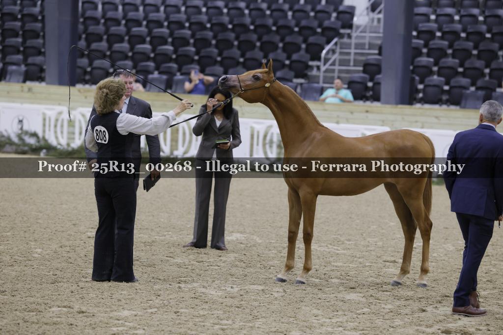Proof 25R13_00268