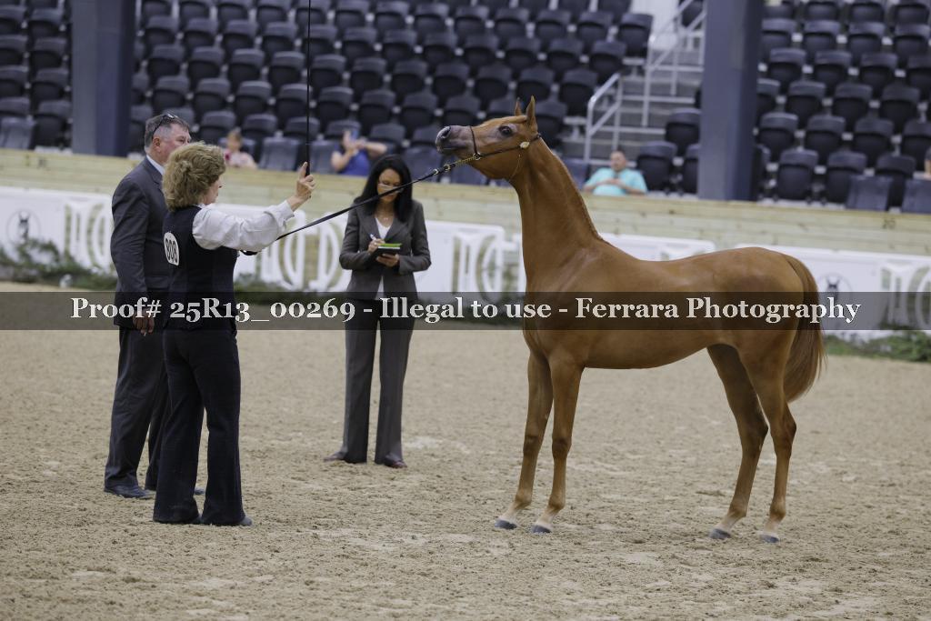 Proof 25R13_00269