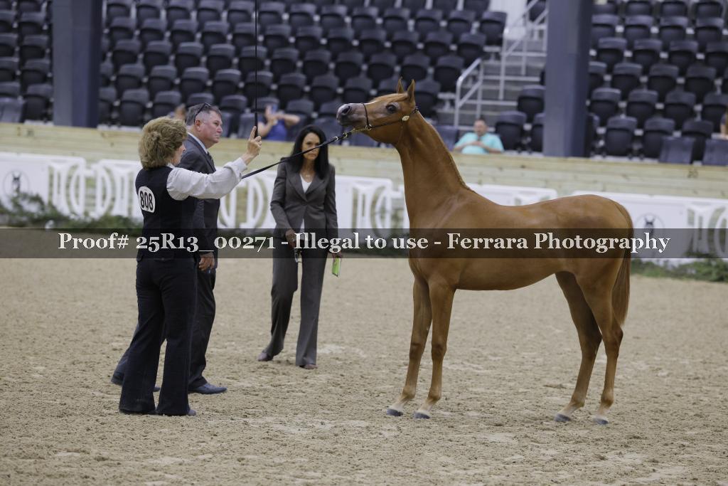 Proof 25R13_00271