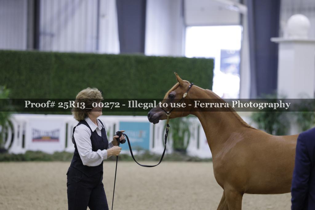 Proof 25R13_00272