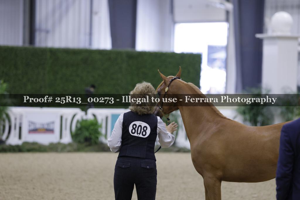Proof 25R13_00273