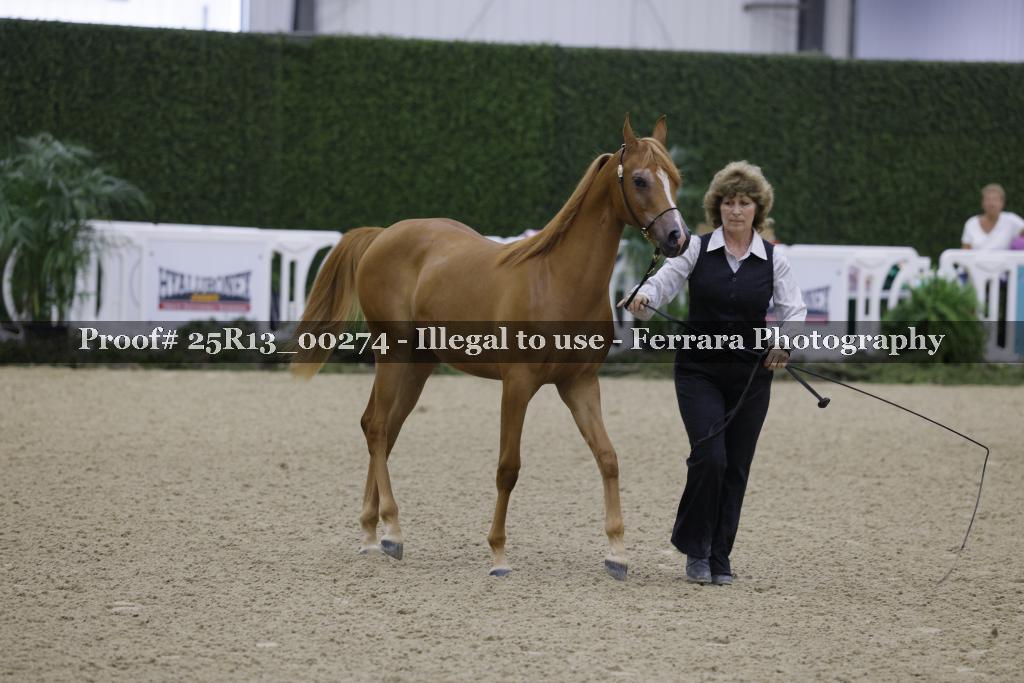 Proof 25R13_00274