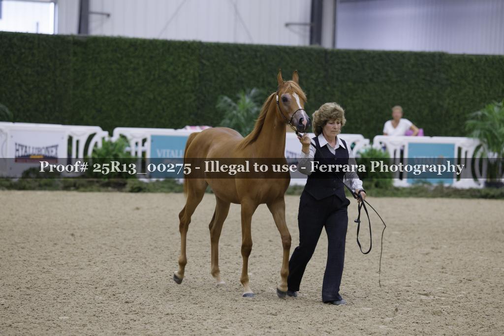 Proof 25R13_00275