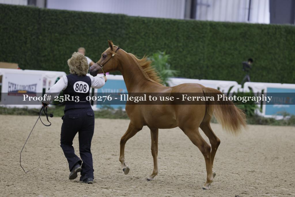 Proof 25R13_00276