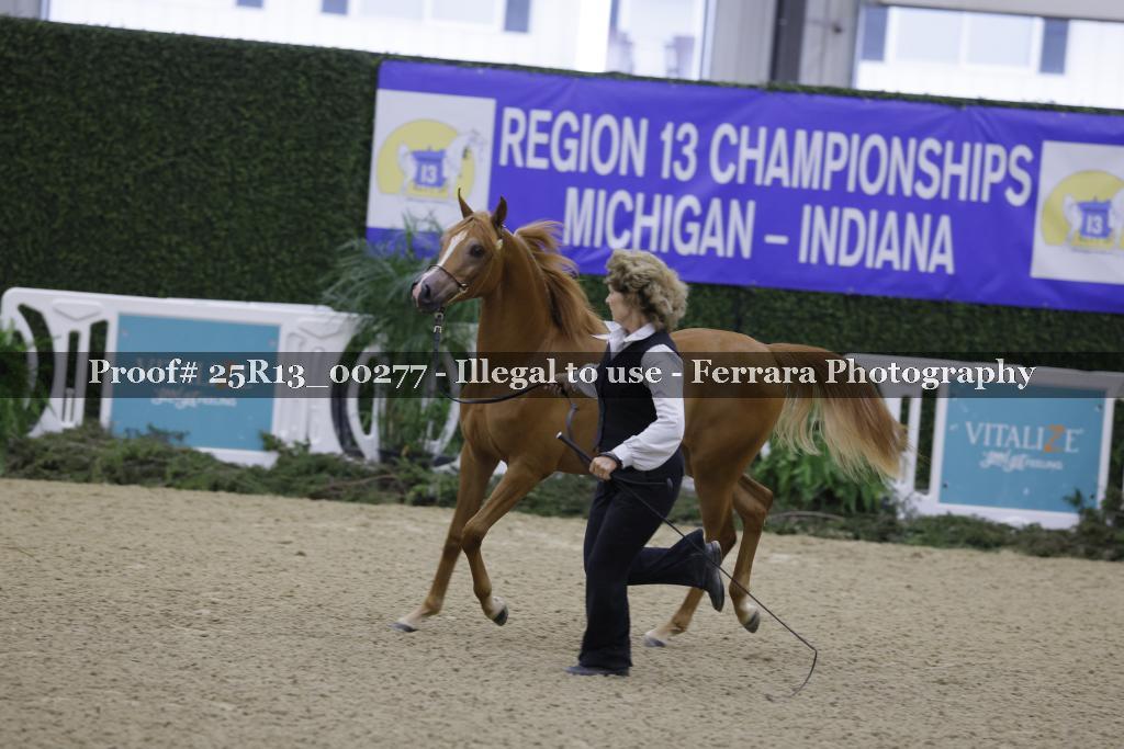Proof 25R13_00277