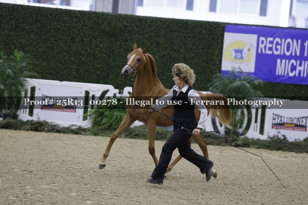 Proof 25R13_00278