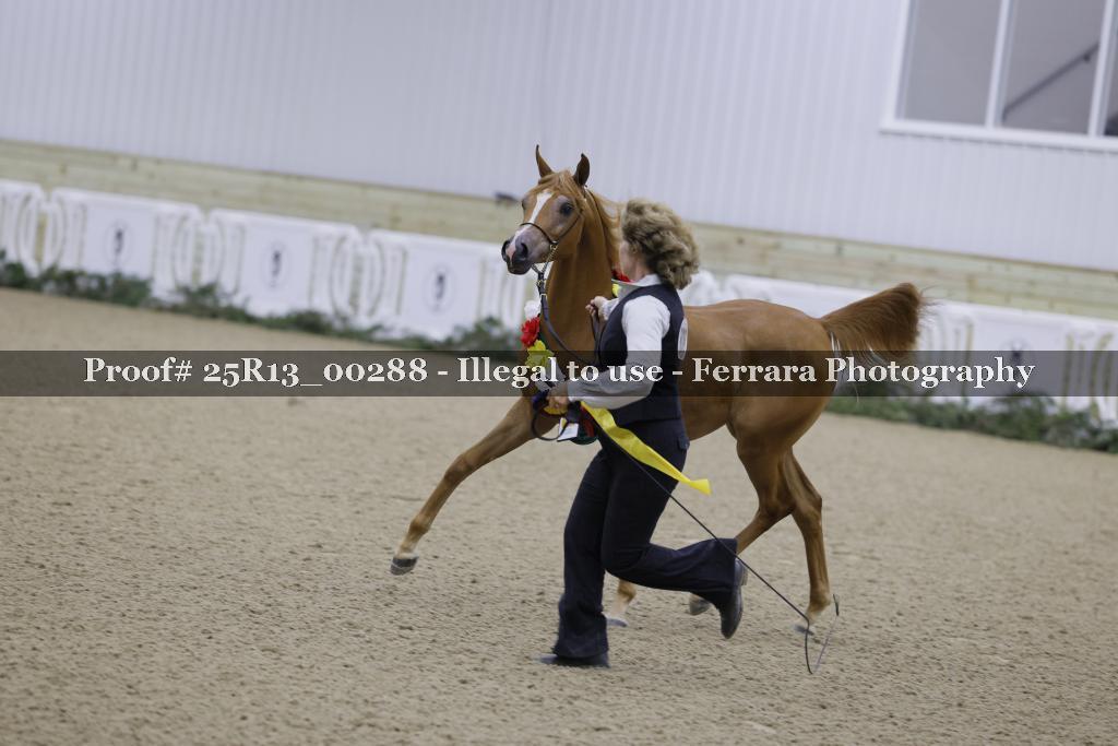 Proof 25R13_00288