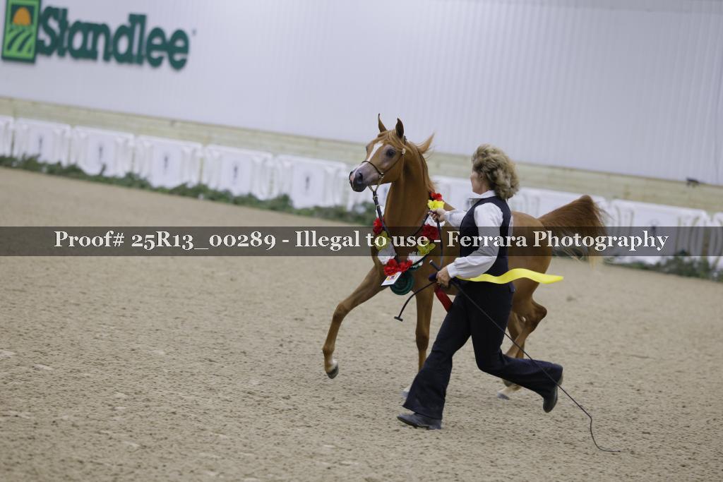 Proof 25R13_00289