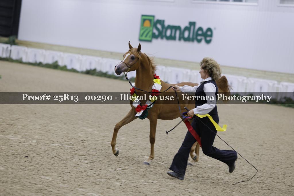 Proof 25R13_00290