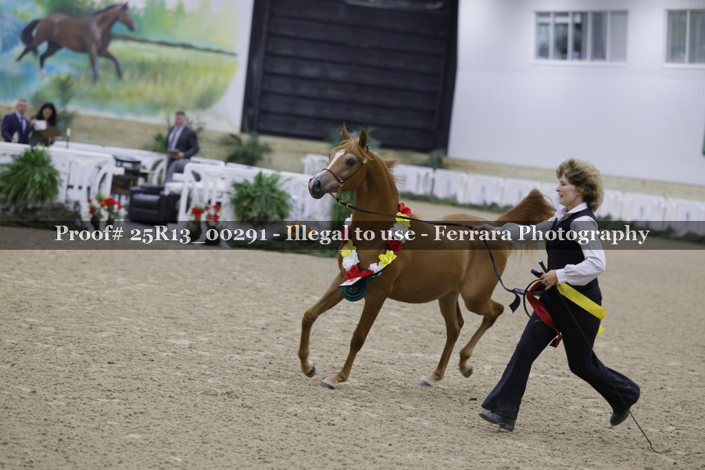 Proof 25R13_00291