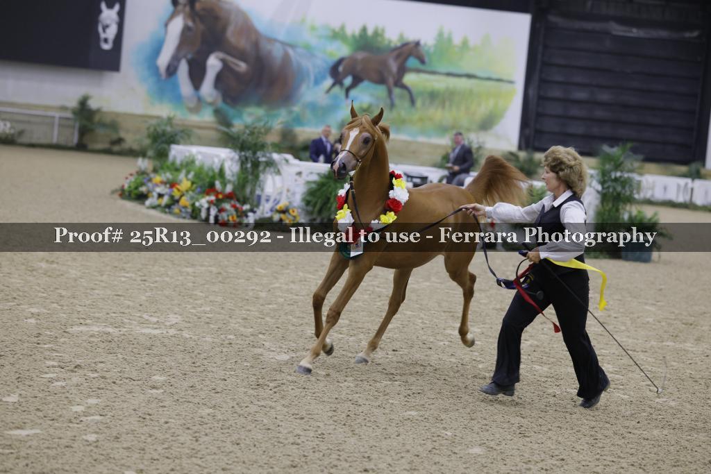 Proof 25R13_00292