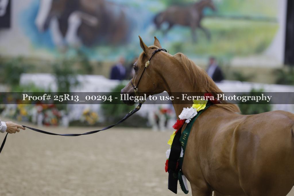 Proof 25R13_00294