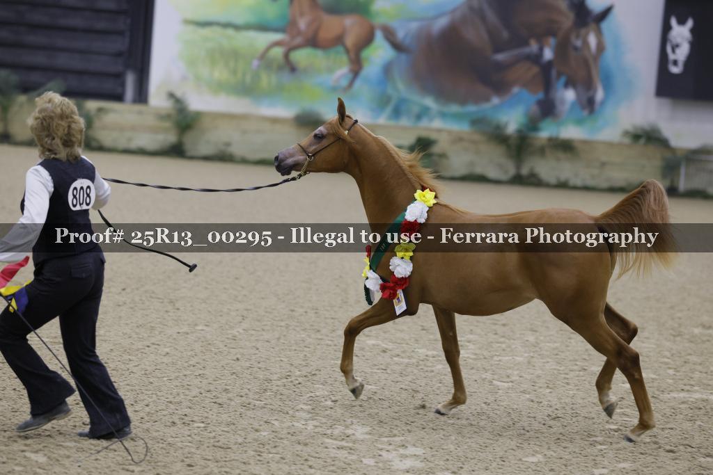 Proof 25R13_00295