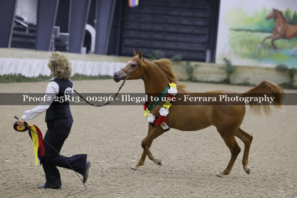 Proof 25R13_00296