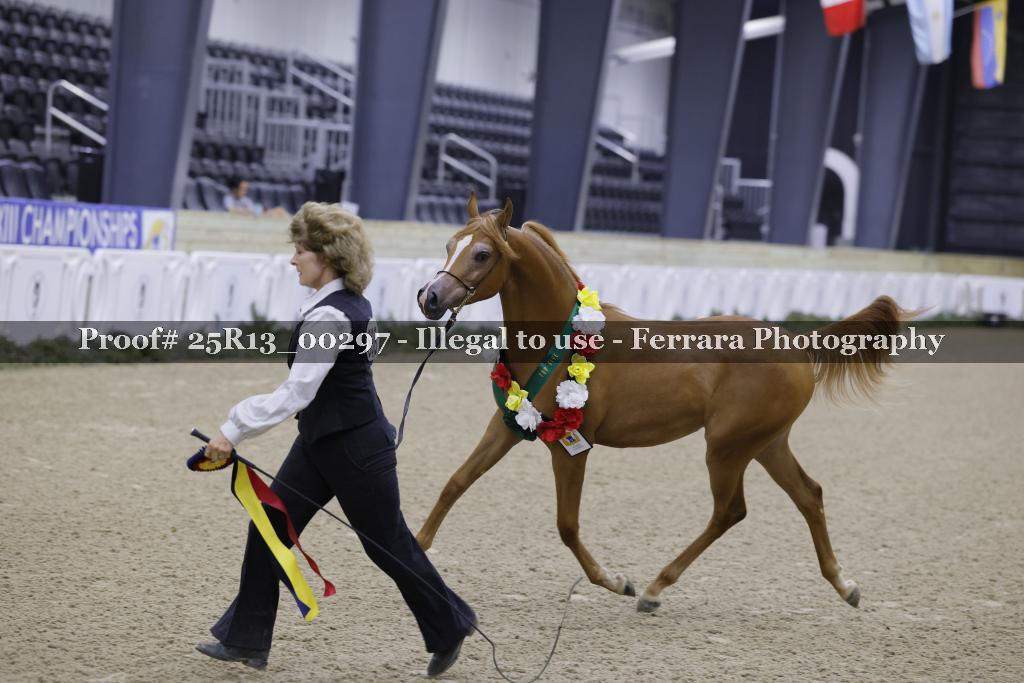 Proof 25R13_00297