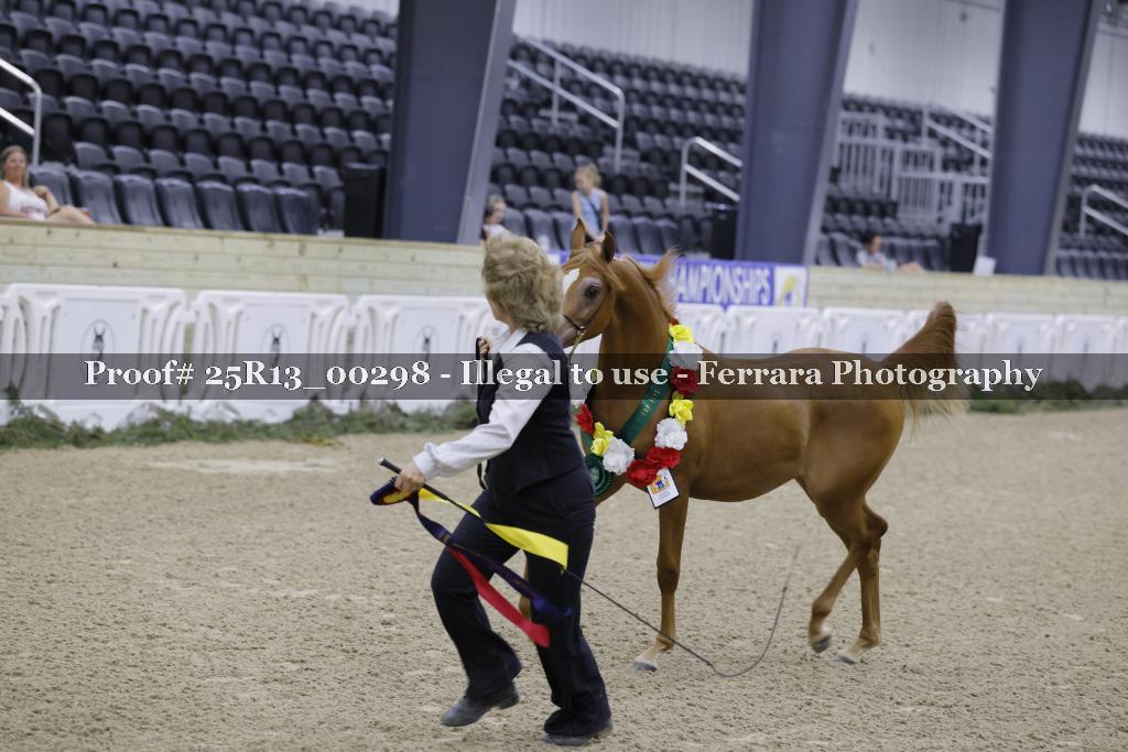 Proof 25R13_00298