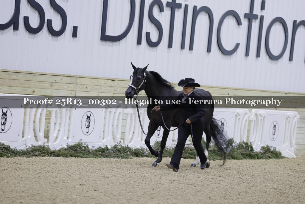 Proof 25R13_00302